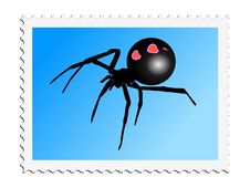 Black Widow Stock Images Black Widow Stock Images