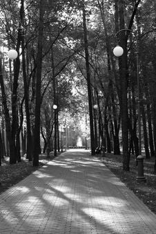 Alley In The Park Stock Photography Alley In The Park Stock Photography