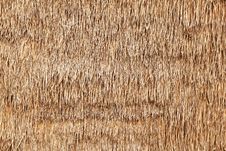 Dry Grass Background Stock Images Dry Grass Background Stock Images