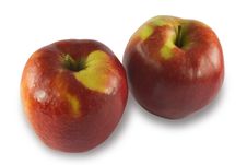 Two Red Apples Stock Photography