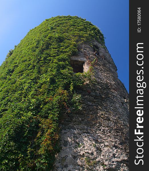 Old tower with a wall overgrown with ivy