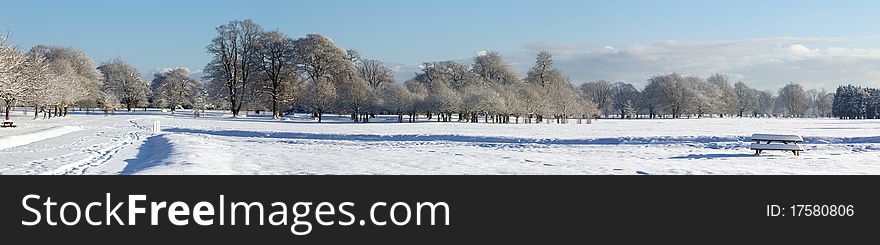 Panoramic view of winter time in park. Panoramic view of winter time in park