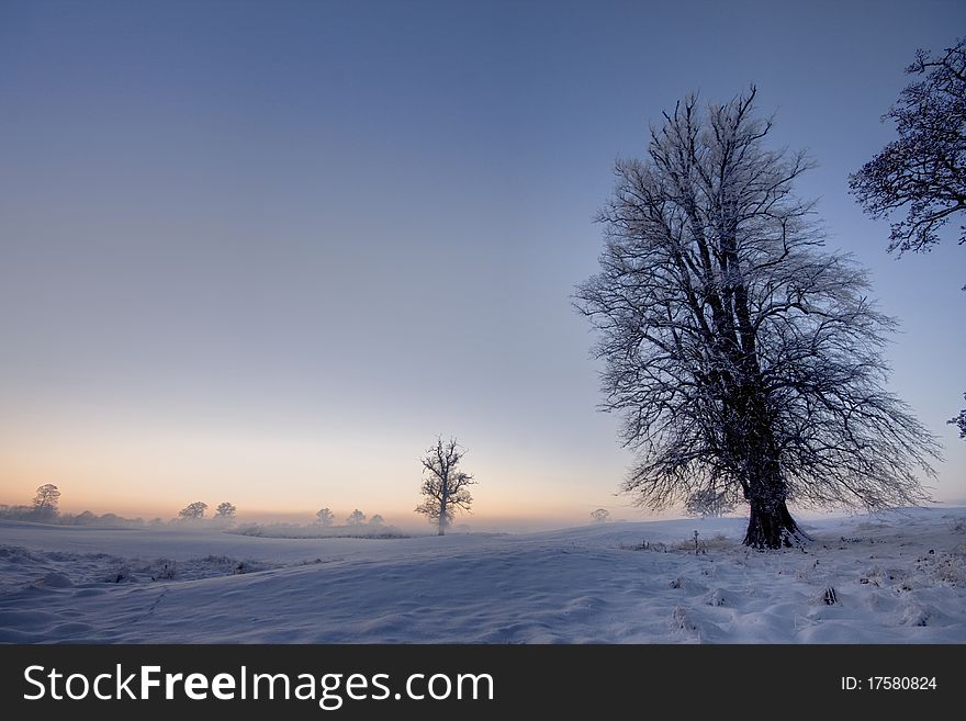 Winter sunset  with trees and blue sky