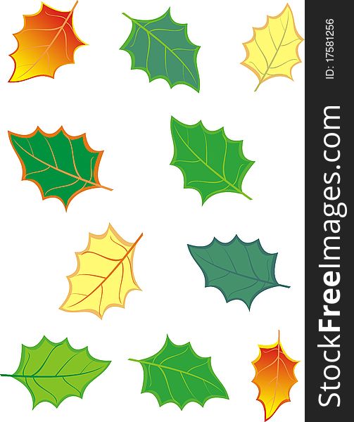 Set of multi-colored leaves for design - the isolated vector illustration. Set of multi-colored leaves for design - the isolated vector illustration.