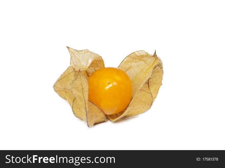 Isolated photo of a ripe fruit physalis