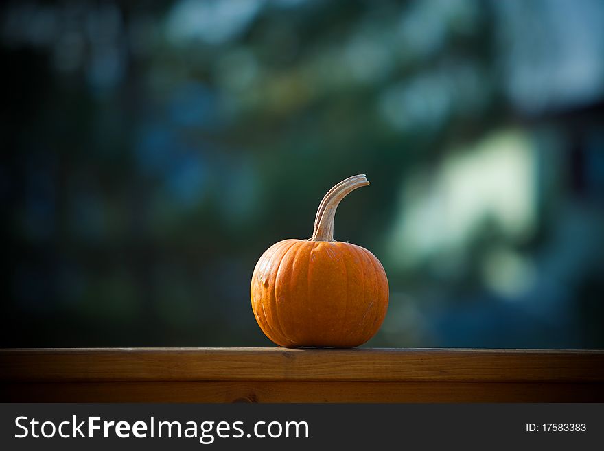 A small pumpkin sitting on a fence.