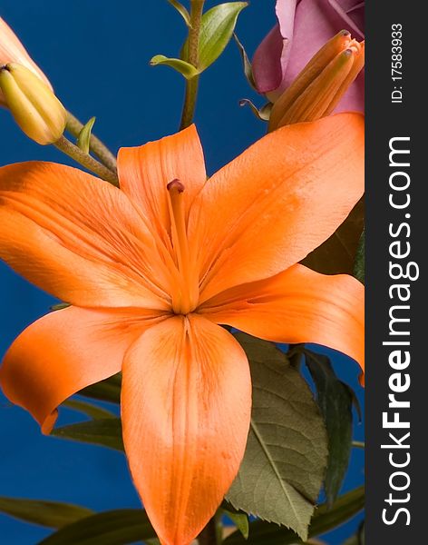 Orange lily in a flower arrangment.