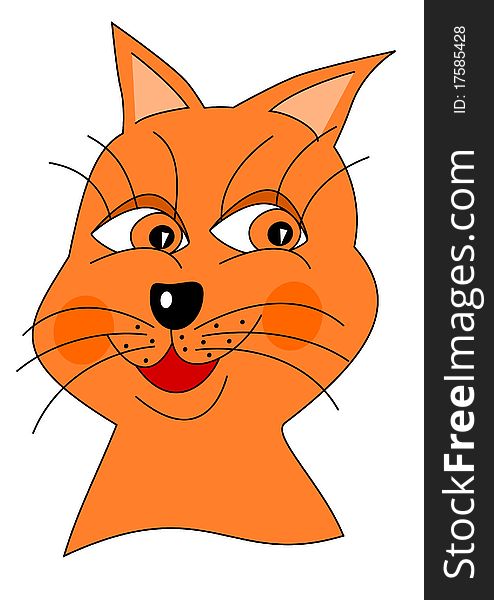 Cat animal domestic head orange. Cat animal domestic head orange
