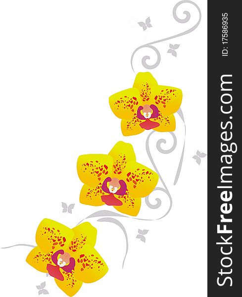 Yellow Orchid Pattern
