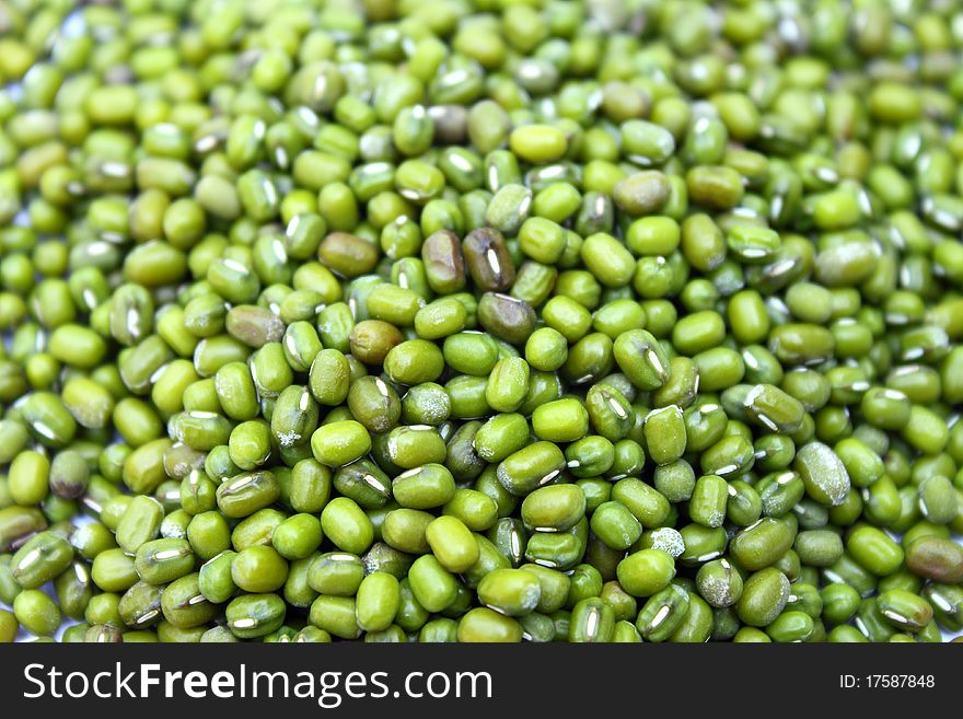 Green gram or mung bean