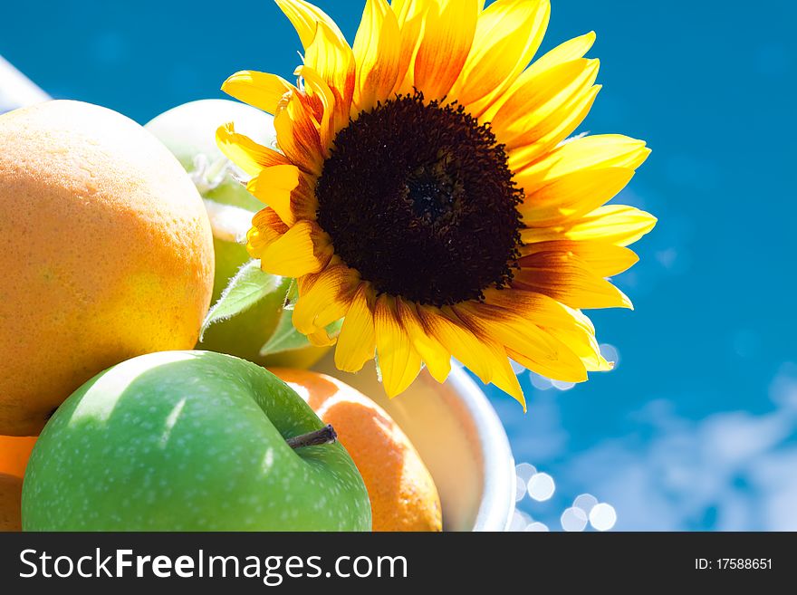 Fresh Fruit in Bowl with Sunflower with Blue Background