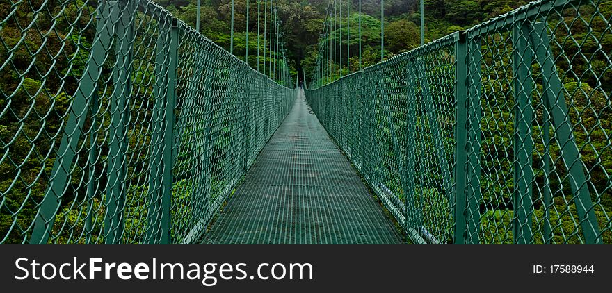 Hanging bridge in costa rica's cloud forest. Hanging bridge in costa rica's cloud forest