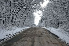 Snowy Tunnel Road From Forest To Cloudy Sky Stock Photography Snowy Tunnel Road From Forest To Cloudy Sky Stock Photography