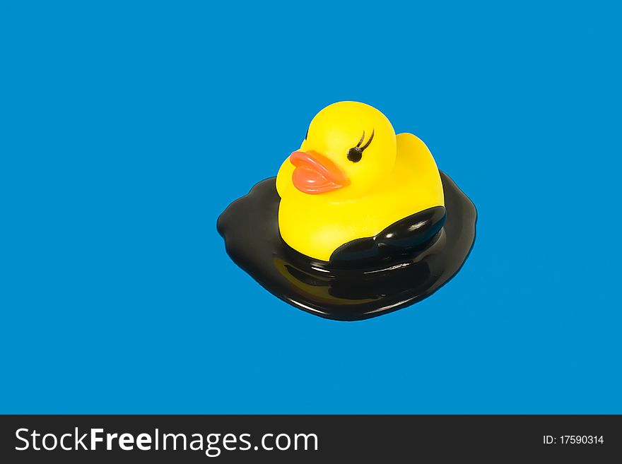 Toy Duck In Oil