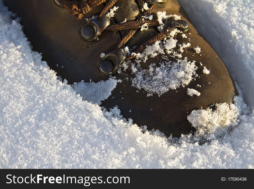Trecking shoe set into fresh snow