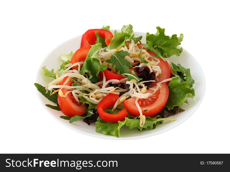 Salad with bean sprout on an white plate