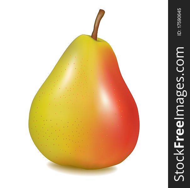 Ripe Yellow Pear. Vector