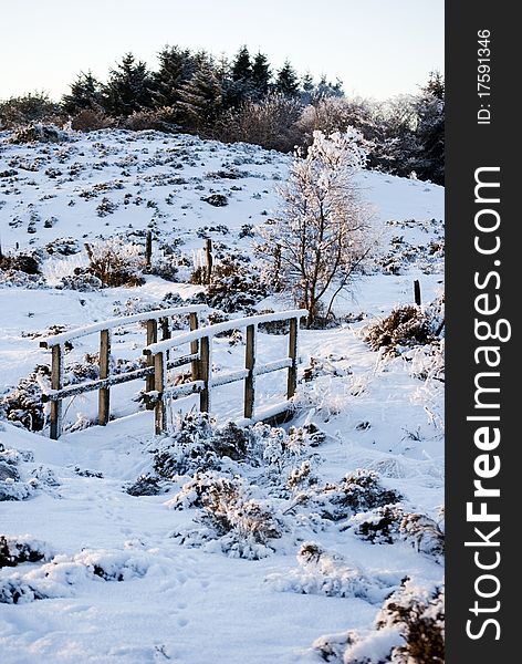 A vertical image of a snow covered landscape and a wooden bridge. A vertical image of a snow covered landscape and a wooden bridge