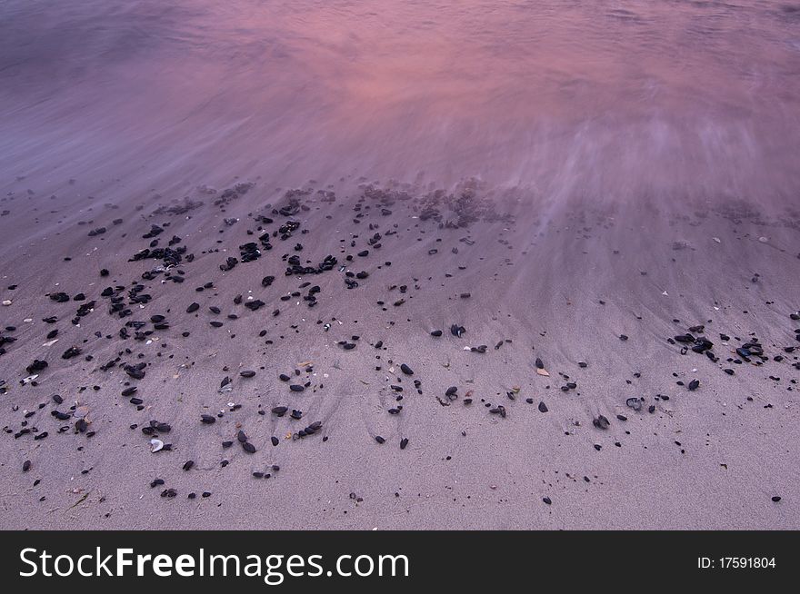 Mussels on sandy shore at dawn