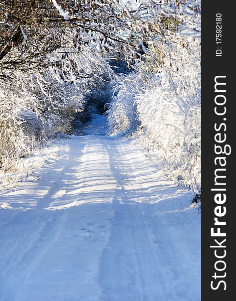 A vertical image of a snow covered country path in bright sunshine. A vertical image of a snow covered country path in bright sunshine