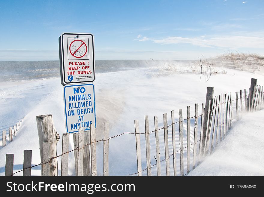 Snowy Beach