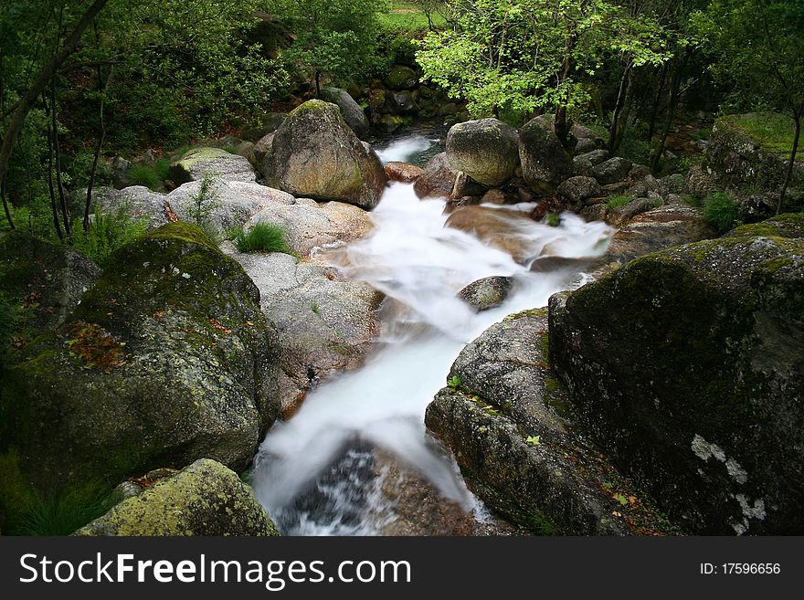 Natural green landscape, river passing by