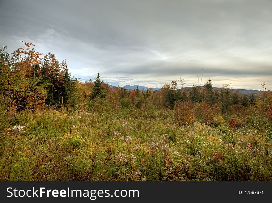 Autumn scene in New Hampshire on cloudy day