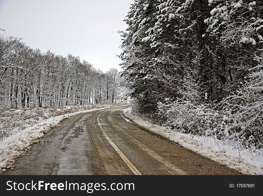 Winter Clouds Over Snowy Forest