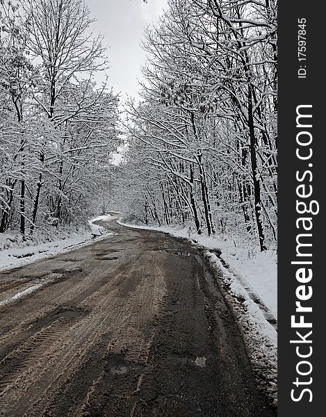 Winter road through frozen forest under cloudy sky