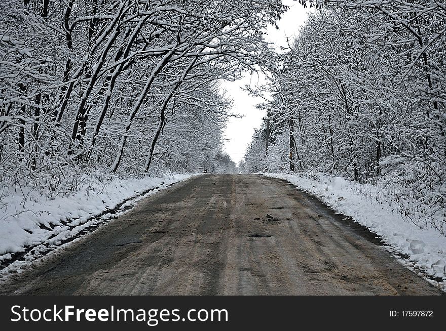 Snowy Tunnel Road From Forest To Cloudy Sky