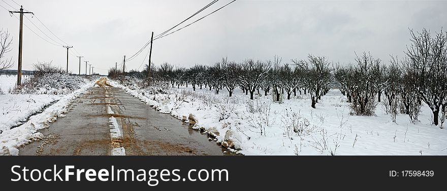 Winter Landscape With Road Near Orchard