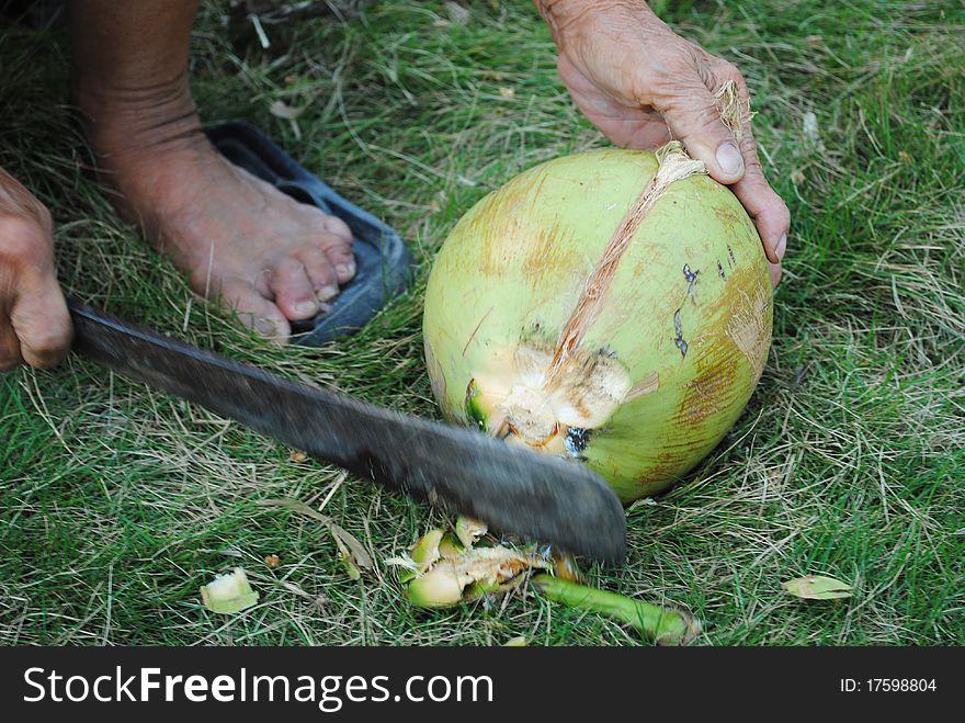 The grater and coconut