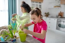 Two Girls Standing Near The Table With Plants In Their Hands. Royalty Free Stock Photo