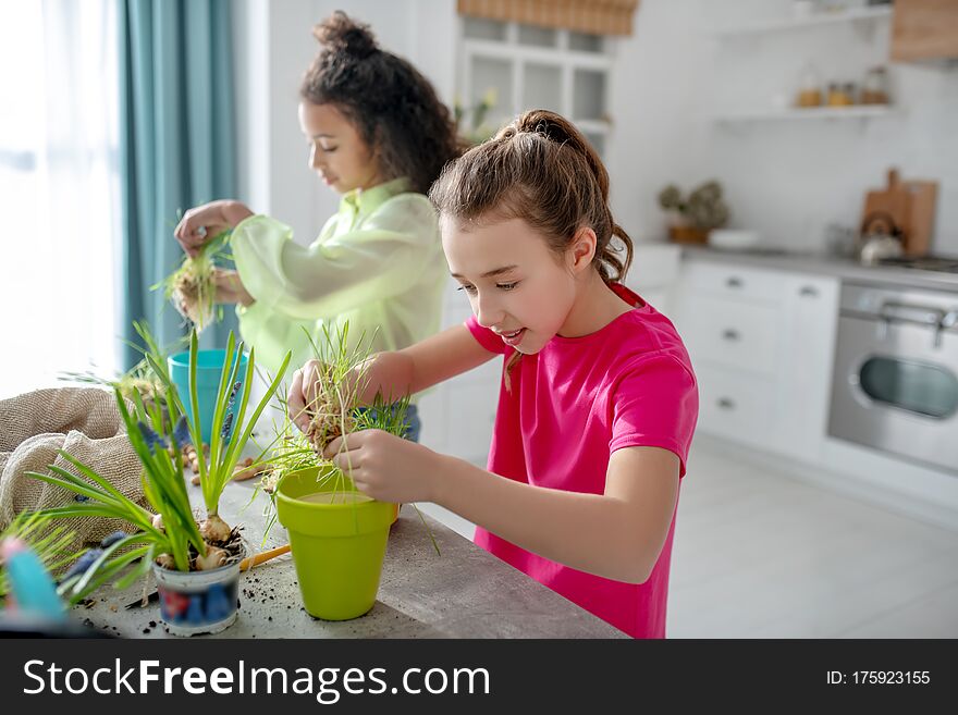 Planting plants in pots. Two girls standing near a table with garden tools, with plants in hands above the pots, both serious attentive. Planting plants in pots. Two girls standing near a table with garden tools, with plants in hands above the pots, both serious attentive.