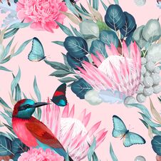 Vector Seamless Pattern With Birds And Protea Royalty Free Stock Image