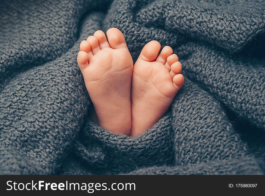 Newborn baby feet covered in grey knitted blanket close-up