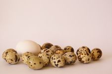 Quail And Chicken Eggs Pile Stock Image Quail And Chicken Eggs Pile Stock Image