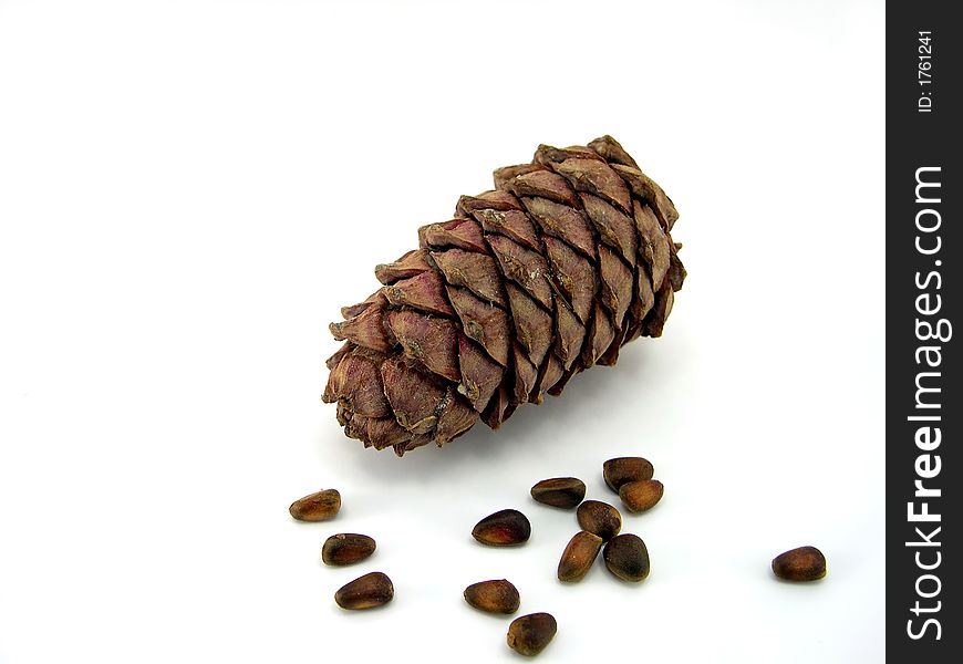 Beautiful cone with nuts on a white background