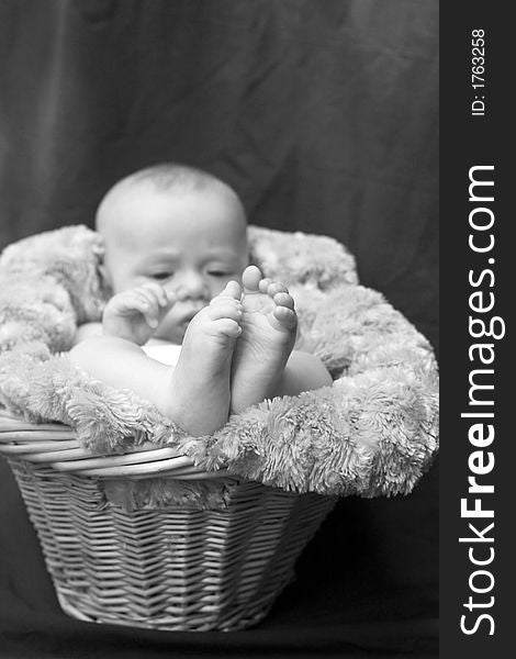 Image of baby boy nestled in a basket. Image of baby boy nestled in a basket