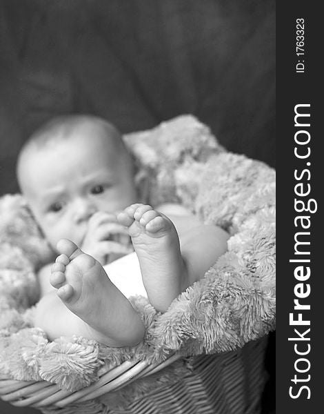 Black and white image of baby boy nestled in a blanket-lined basket. Black and white image of baby boy nestled in a blanket-lined basket