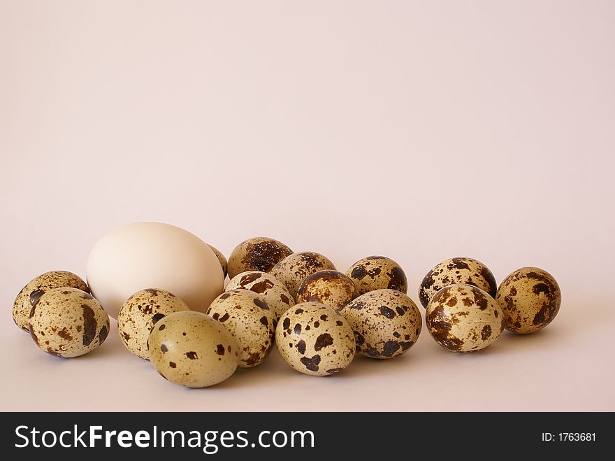Quail and chicken eggs pile