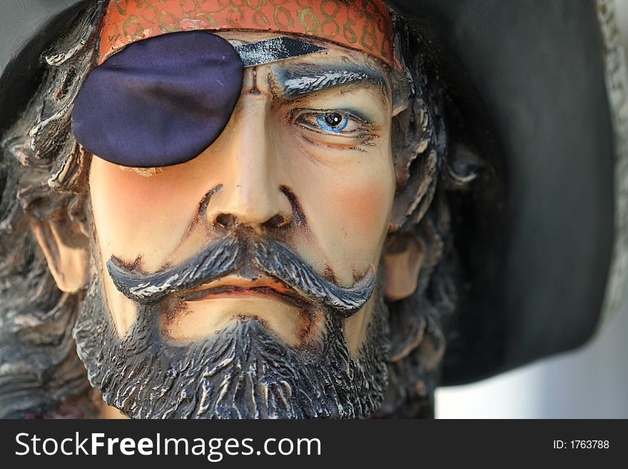 Portrait Of A Pirate