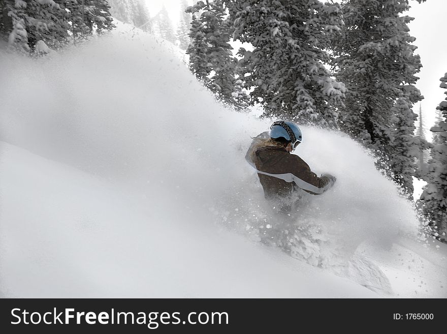 Women snowboarder enjoys fresh powder at snowbird ski and summer resort #5. Women snowboarder enjoys fresh powder at snowbird ski and summer resort #5