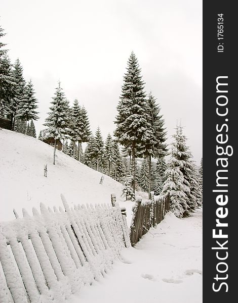 Fence direction in winter landscape