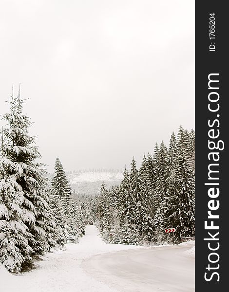 Dangerous winter road curve and evergreen trees. Dangerous winter road curve and evergreen trees