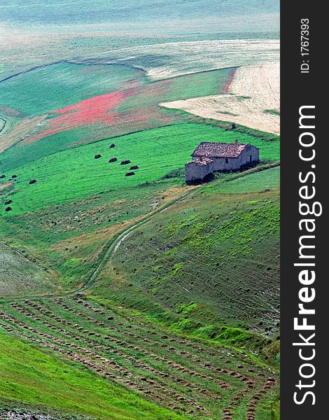 Valley In Spring With Farm