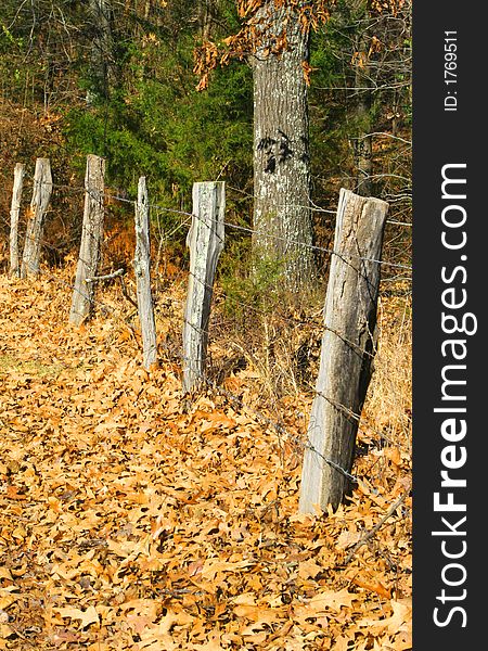 A rural fence line covered in autumn leaves. A rural fence line covered in autumn leaves.