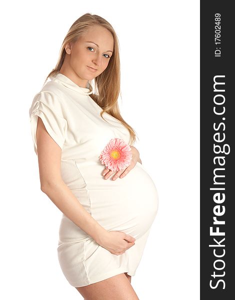 Pregnant woman holding her belly and flower. Pregnant woman holding her belly and flower