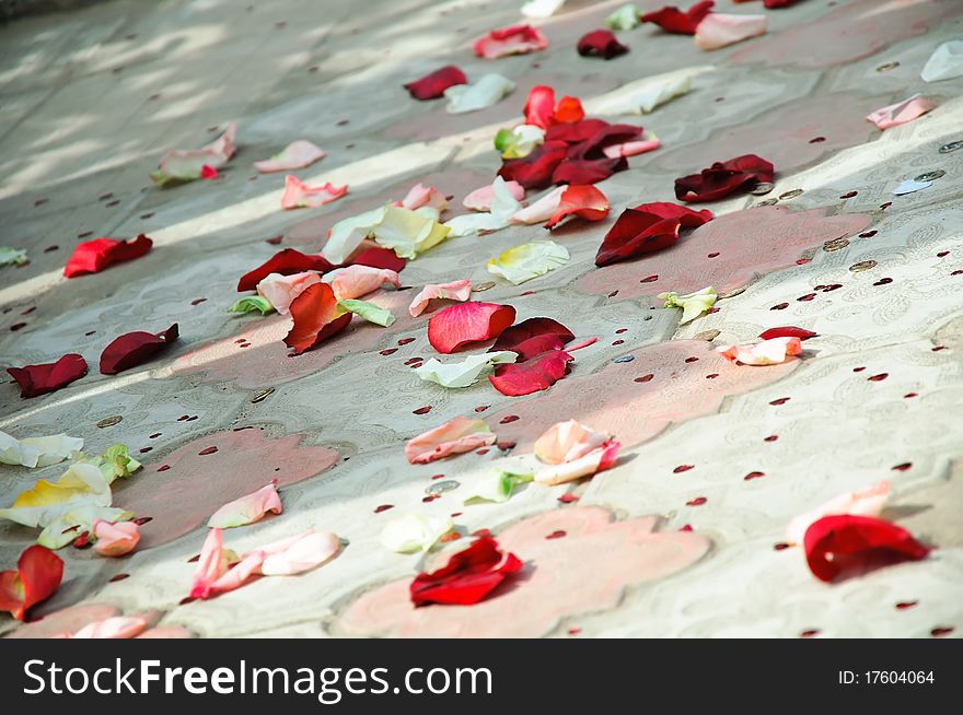 Petals of red roses scattered on a floor