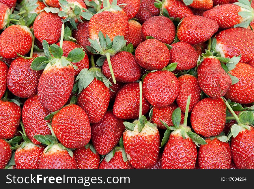 Ripe red strawberries with green spines background